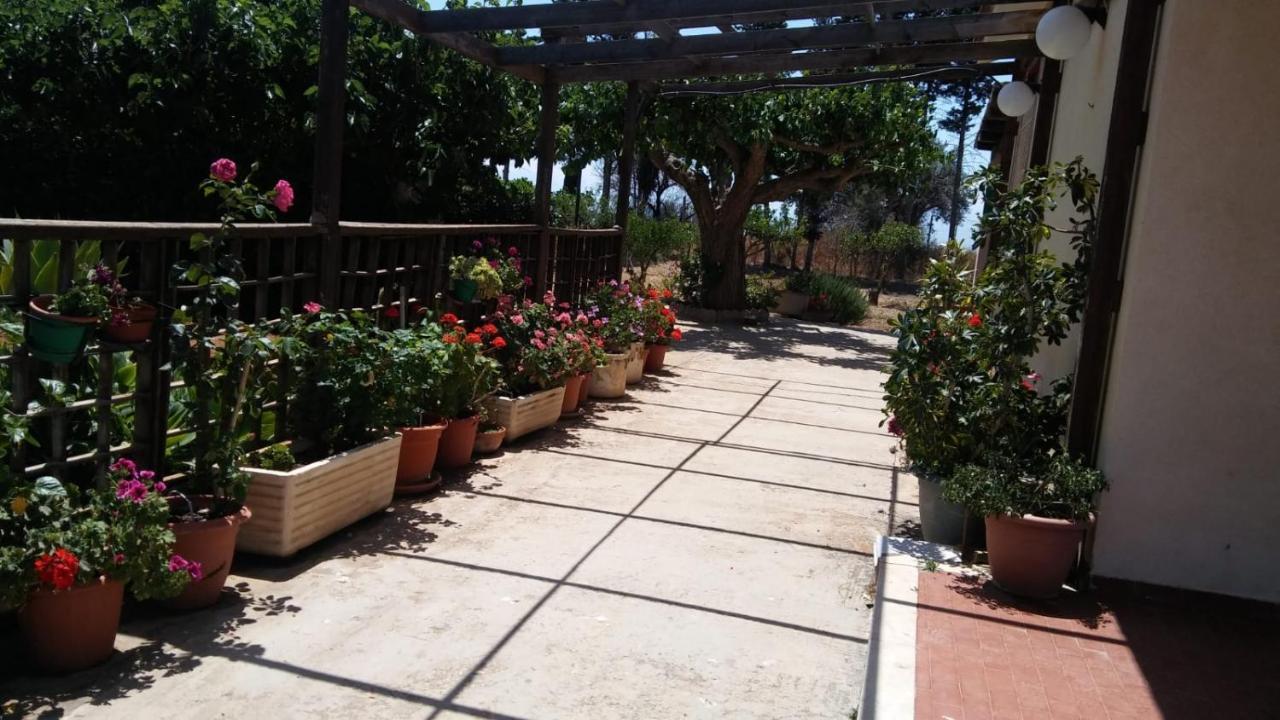 Il Gazebo Bed & Breakfast Scoglitti Ngoại thất bức ảnh