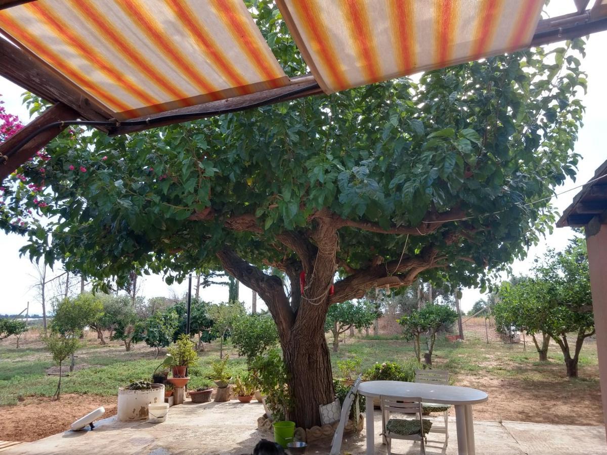 Il Gazebo Bed & Breakfast Scoglitti Ngoại thất bức ảnh
