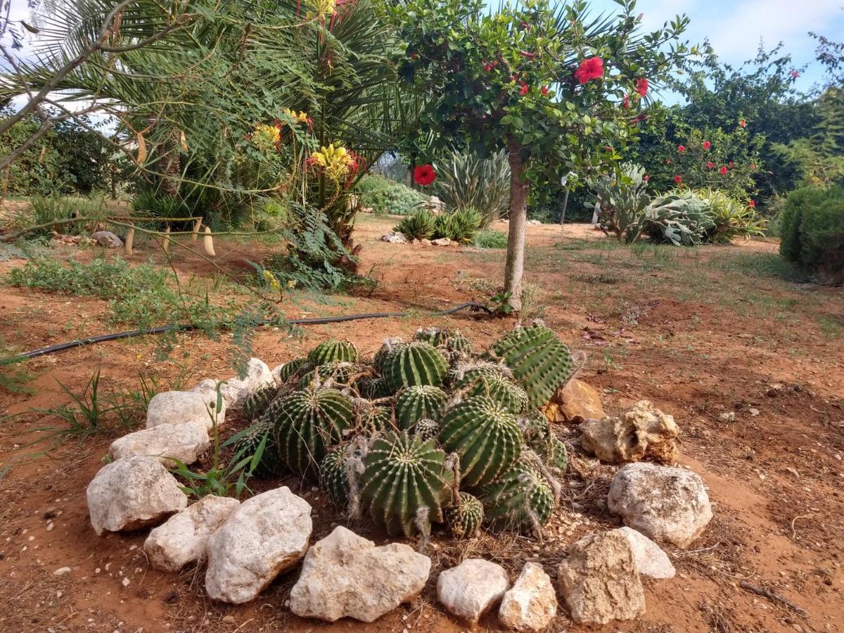 Il Gazebo Bed & Breakfast Scoglitti Ngoại thất bức ảnh